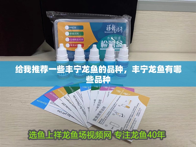 給我推薦一些豐寧龍魚的品種，豐寧龍魚有哪些品種