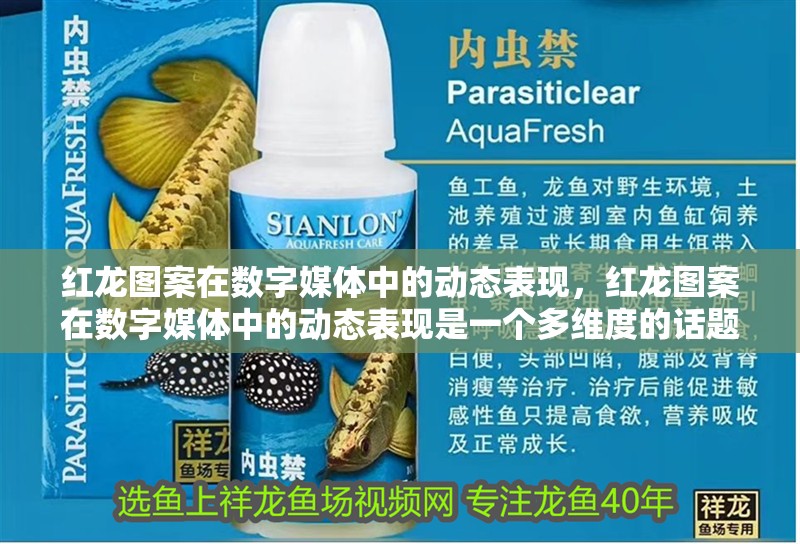 紅龍圖案在數(shù)字媒體中的動(dòng)態(tài)表現(xiàn)，紅龍圖案在數(shù)字媒體中的動(dòng)態(tài)表現(xiàn)是一個(gè)多維度的話題