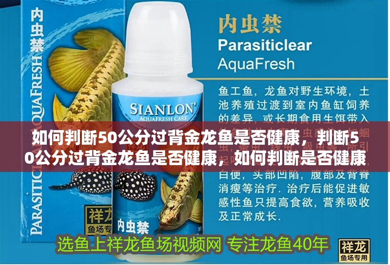 詳細閱讀:如何判斷50公分過背金龍魚是否健康,判斷50公分過背金龍魚是否健康,如何判斷是否健康 如何判斷50公分過背金龍魚是否健康,判斷50公分過背金龍魚是否健康,如何判斷是否健康