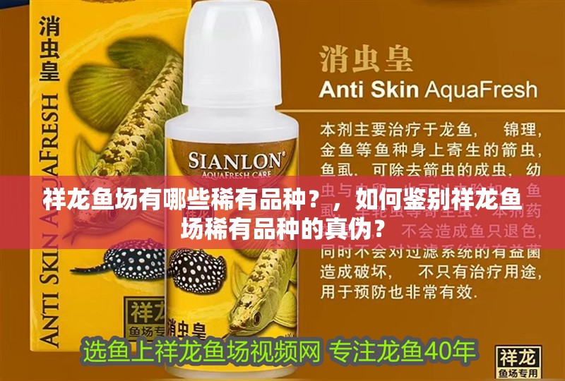 詳細閱讀:祥龍魚場有哪些稀有品種?,如何鑒別祥龍魚場稀有品種的真偽? 祥龍魚場有哪些稀有品種?,如何鑒別祥龍魚場稀有品種的真偽?
