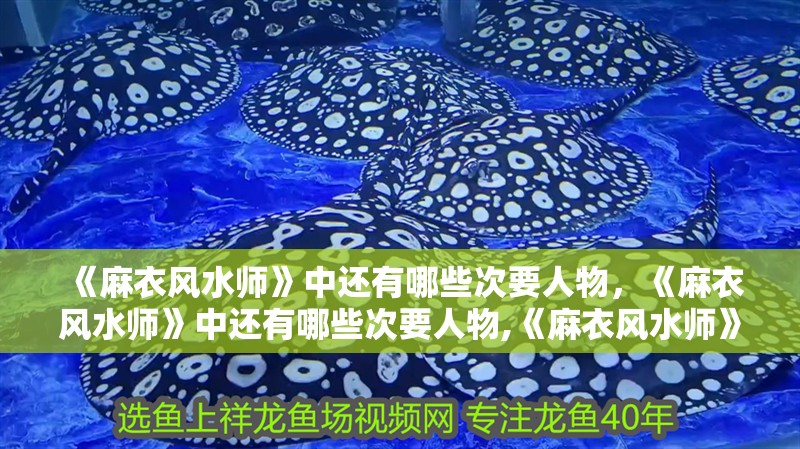 《麻衣風水師》中還有哪些次要人物，《麻衣風水師》中還有哪些次要人物,《麻衣風水師》中哪個次要人物最受歡迎