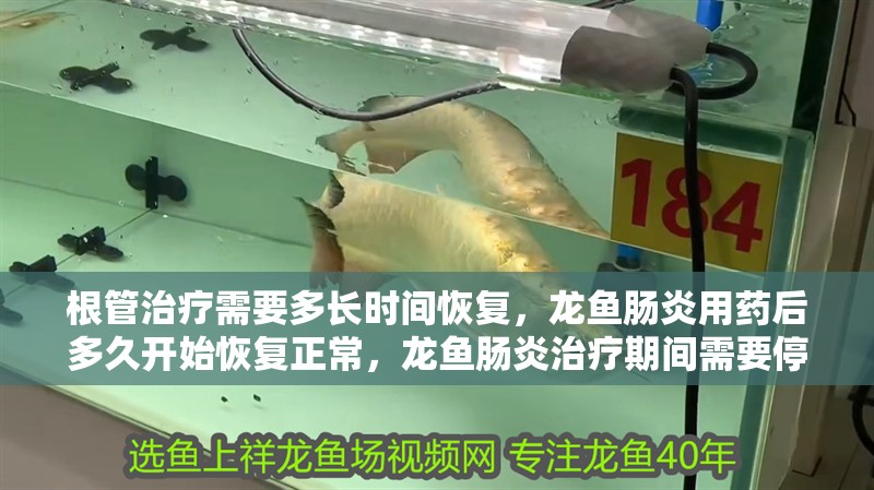 詳細閱讀:根管治療需要多長時間恢復,龍魚腸炎用藥后多久開始恢復正常,龍魚腸炎治療期間需要停食嗎 根管治療需要多長時間恢復,龍魚腸炎用藥后多久開始恢復正常,龍魚腸炎治療期間需要停食嗎