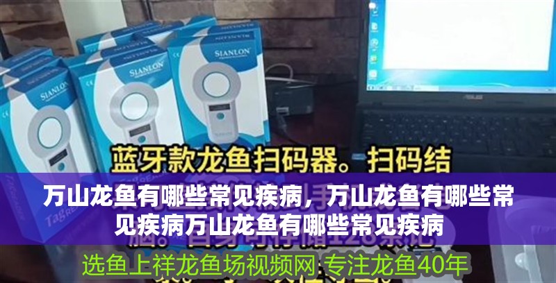 萬山龍魚有哪些常見疾病，萬山龍魚有哪些常見疾病萬山龍魚有哪些常見疾病