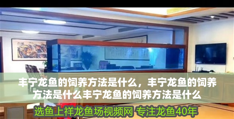 豐寧龍魚的飼養方法是什么，豐寧龍魚的飼養方法是什么豐寧龍魚的飼養方法是什么