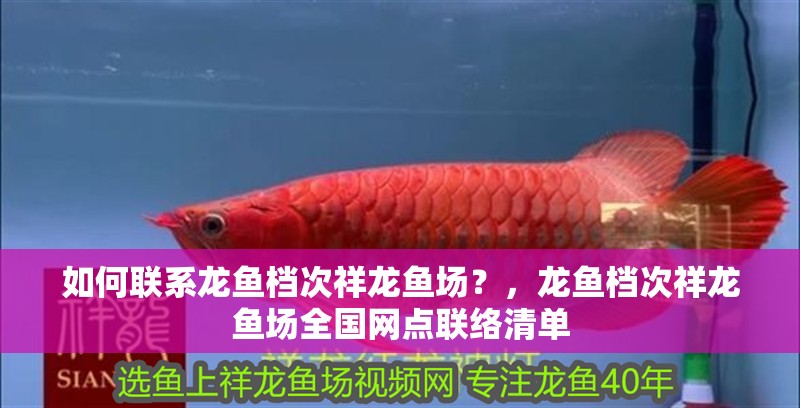 如何聯系龍魚檔次祥龍魚場？，龍魚檔次祥龍魚場全國網點聯絡清單