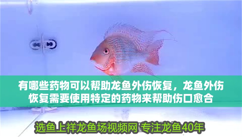 有哪些藥物可以幫助龍魚外傷恢復，龍魚外傷恢復需要使用特定的藥物來幫助傷口愈合