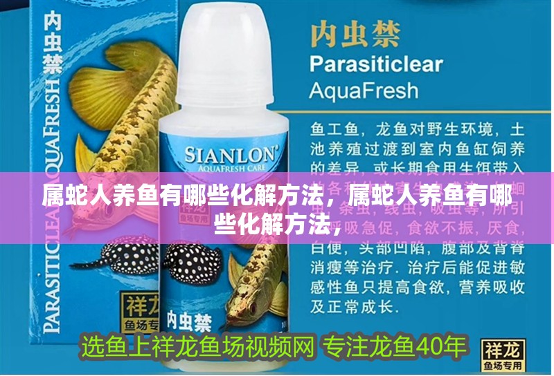 屬蛇人養魚有哪些化解方法，屬蛇人養魚有哪些化解方法，