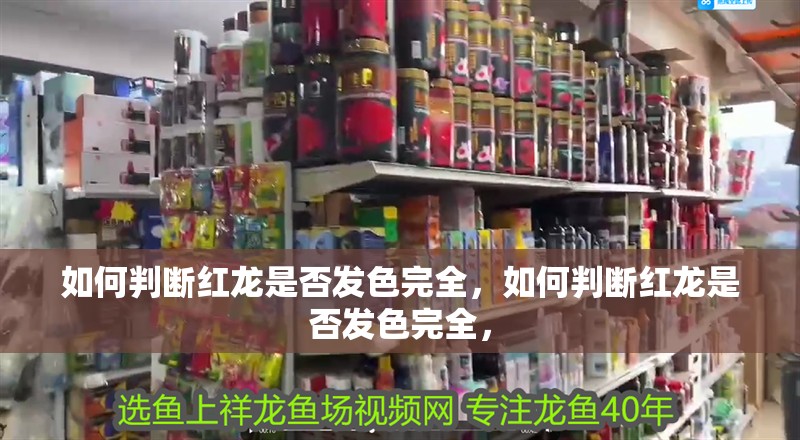 如何判斷紅龍是否發(fā)色完全，如何判斷紅龍是否發(fā)色完全，