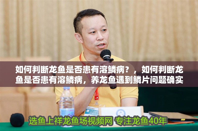 如何判斷龍魚(yú)是否患有溶鱗??？，如何判斷龍魚(yú)是否患有溶鱗病，養(yǎng)龍魚(yú)遇到鱗片問(wèn)題確實(shí)讓人揪心