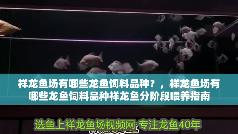 祥龍魚場有哪些龍魚飼料品種？，祥龍魚場有哪些龍魚飼料品種祥龍魚分階段喂養指南