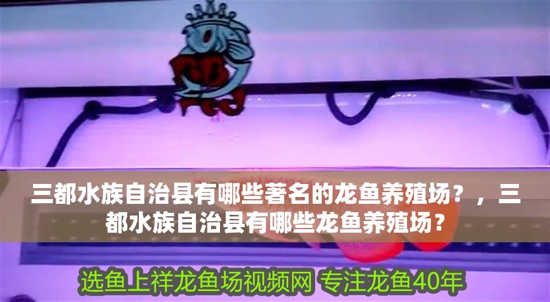 三都水族自治縣有哪些著名的龍魚養殖場？，三都水族自治縣有哪些龍魚養殖場？