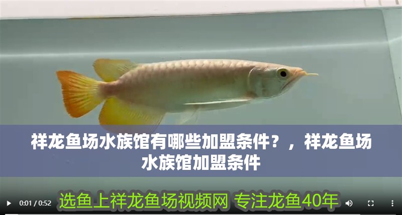 祥龍魚場水族館有哪些加盟條件？，祥龍魚場水族館加盟條件
