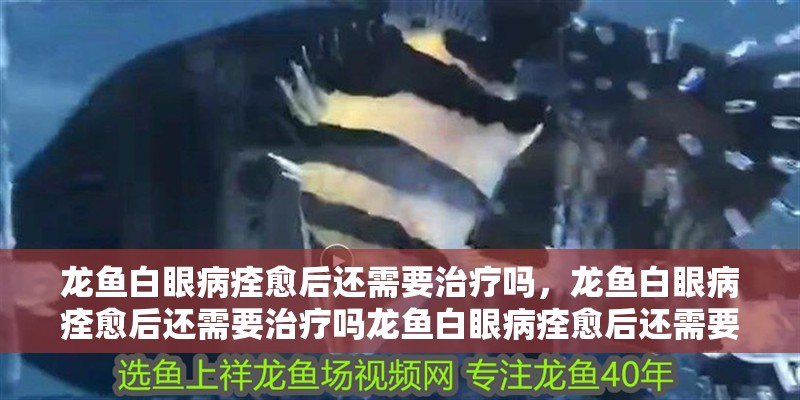 魚缸過濾器選購指南:自制魚缸過濾器魚缸上置過濾器對于養魚愛好者的必備知識 龍魚白眼病痊愈后還需要治療嗎,龍魚白眼病痊愈后還需要治療嗎龍魚白眼病痊愈后還需要治療嗎 龍魚百科 龍魚白眼病痊愈后還需要治療嗎,龍魚白眼病痊愈后還需要治療嗎龍魚白眼病痊愈后還需要治療嗎 龍魚白眼病痊愈后還需要治療嗎,龍魚白眼病痊愈后還需要治療嗎龍魚白眼病痊愈后還需要治療嗎 龍魚百科