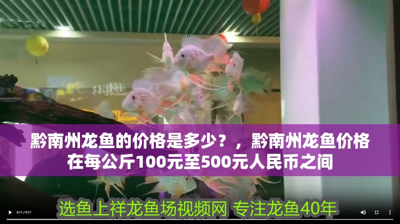 黔南州龍魚的價格是多少？，黔南州龍魚價格在每公斤100元至500元人民幣之間