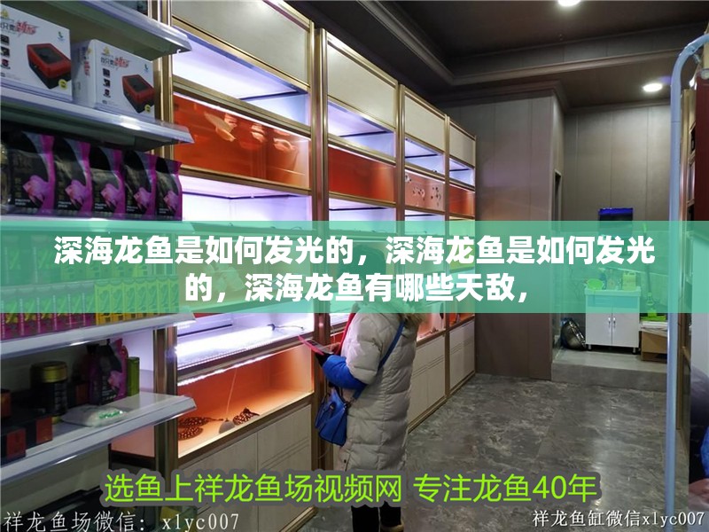 詳細閱讀:深海龍魚是如何發光的,深海龍魚是如何發光的,深海龍魚有哪些天敵, 深海龍魚是如何發光的,深海龍魚是如何發光的,深海龍魚有哪些天敵,