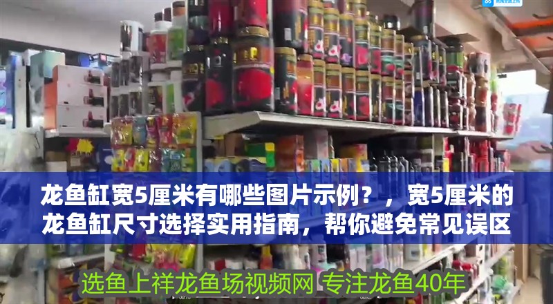 龍魚缸寬5厘米有哪些圖片示例？，寬5厘米的龍魚缸尺寸選擇實用指南，幫你避免常見誤區(qū) 龍魚缸寬5厘米有哪些圖片示例？，寬5厘米的龍魚缸尺寸選擇實用指南，幫你避免常見誤區(qū) 龍魚百科