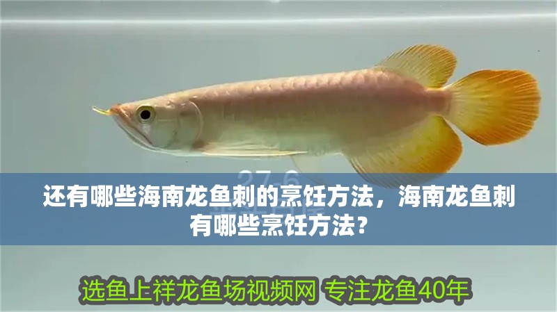 還有哪些海南龍魚刺的烹飪方法，海南龍魚刺有哪些烹飪方法？