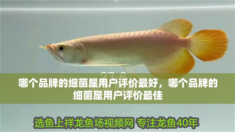 哪個品牌的細菌屋用戶評價最好，哪個品牌的細菌屋用戶評價最佳