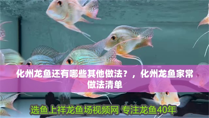 化州龍魚還有哪些其他做法？，化州龍魚家常做法清單