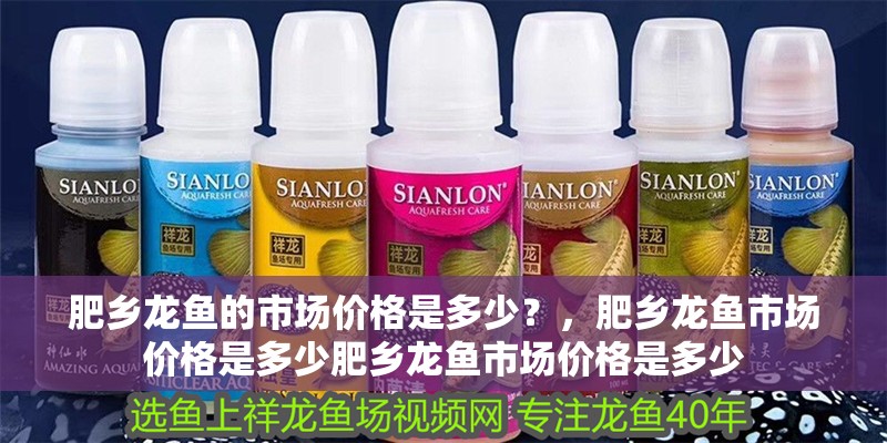 肥鄉(xiāng)龍魚的市場價格是多少？，肥鄉(xiāng)龍魚市場價格是多少肥鄉(xiāng)龍魚市場價格是多少
