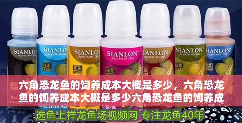 六角恐龍魚的飼養成本大概是多少，六角恐龍魚的飼養成本大概是多少六角恐龍魚的飼養成本