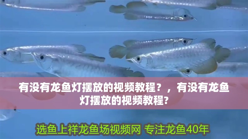 有沒有龍魚燈擺放的視頻教程？，有沒有龍魚燈擺放的視頻教程?