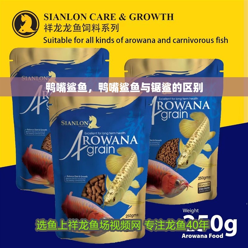 鴨嘴鯊魚，鴨嘴鯊魚與鋸鯊的區(qū)別