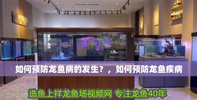 什么魚能和龍魚、虎魚混養(yǎng)(龍魚能和虎魚混養(yǎng)嗎) 如何預(yù)防龍魚病的發(fā)生?,如何預(yù)防龍魚疾病 龍魚百科 如何預(yù)防龍魚病的發(fā)生?,如何預(yù)防龍魚疾病 如何預(yù)防龍魚病的發(fā)生?,如何預(yù)防龍魚疾病 龍魚百科