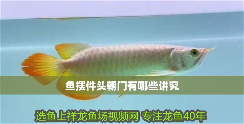 詳細(xì)閱讀:魚(yú)擺件頭朝門有哪些講究 魚(yú)擺件頭朝門有哪些講究