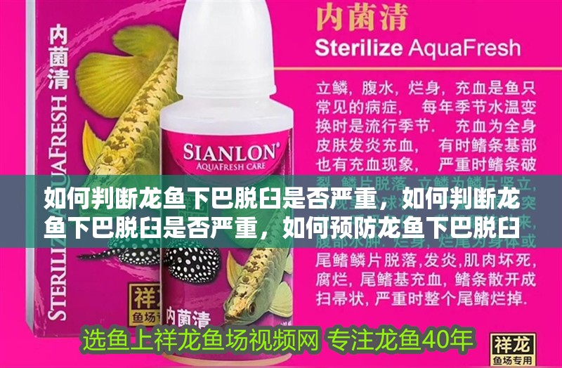 如何判斷龍魚下巴脫臼是否嚴重，如何判斷龍魚下巴脫臼是否嚴重，如何預防龍魚下巴脫臼