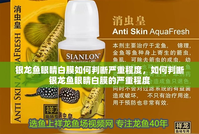 銀龍魚眼睛白膜如何判斷嚴重程度，如何判斷銀龍魚眼睛白膜的嚴重程度