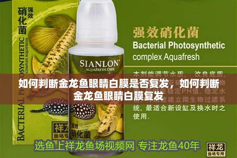 如何判斷金龍魚眼睛白膜是否復(fù)發(fā)，如何判斷金龍魚眼睛白膜復(fù)發(fā)