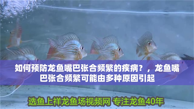 如何預(yù)防龍魚嘴巴張合頻繁的疾病？，龍魚嘴巴張合頻繁可能由多種原因引起