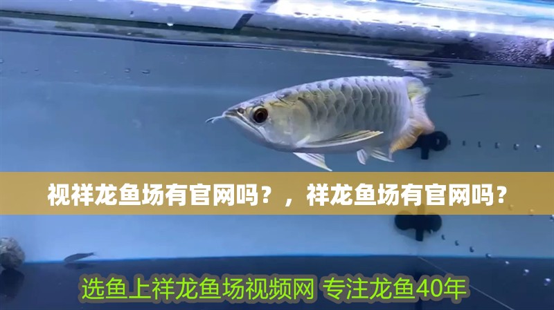 視祥龍魚場有官網嗎？，祥龍魚場有官網嗎？