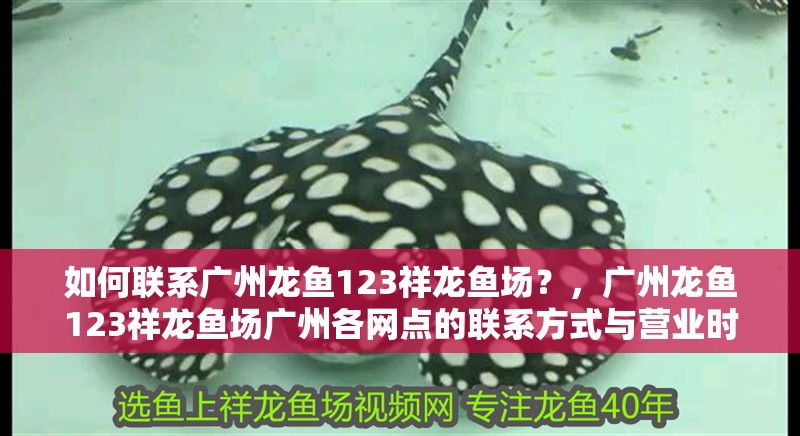 如何聯系廣州龍魚123祥龍魚場？，廣州龍魚123祥龍魚場廣州各網點的聯系方式與營業時間對照表