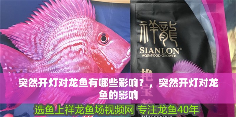 突然開燈對龍魚有哪些影響？，突然開燈對龍魚的影響