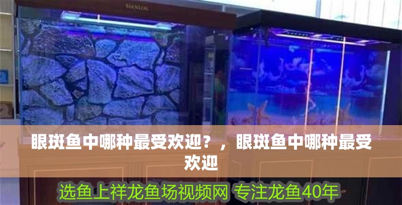 我的虎魚真菌感染了要怎么處理 眼斑魚中哪種最受歡迎?,眼斑魚中哪種最受歡迎 龍魚百科 眼斑魚中哪種最受歡迎?,眼斑魚中哪種最受歡迎 眼斑魚中哪種最受歡迎?,眼斑魚中哪種最受歡迎 龍魚百科