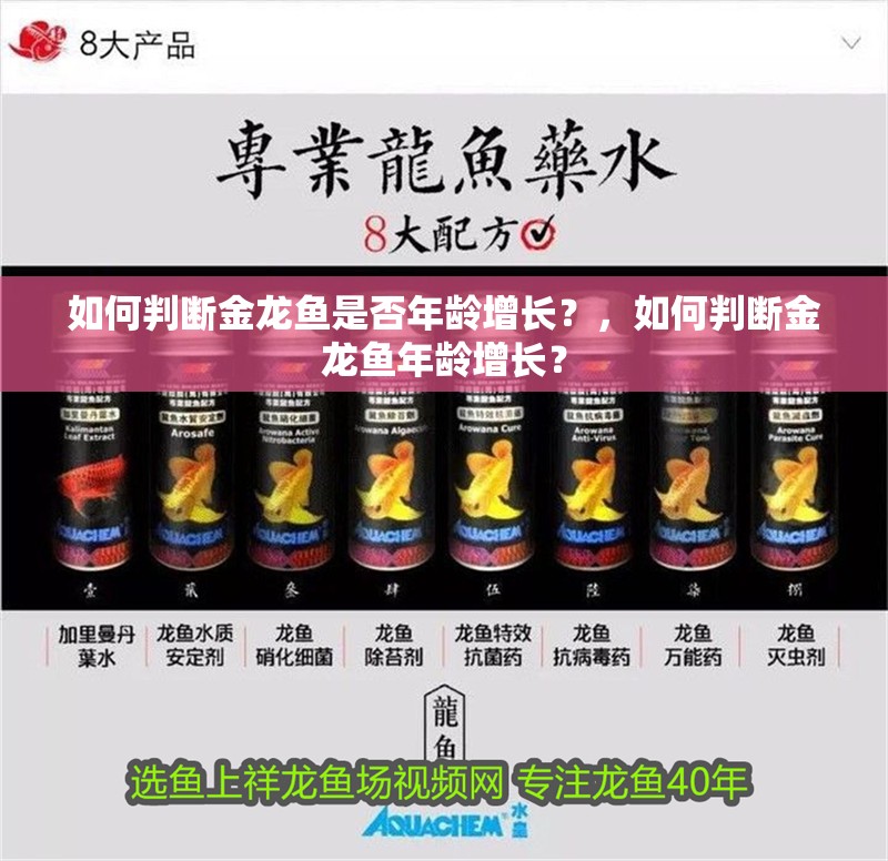 如何判斷金龍魚是否年齡增長？，如何判斷金龍魚年齡增長？