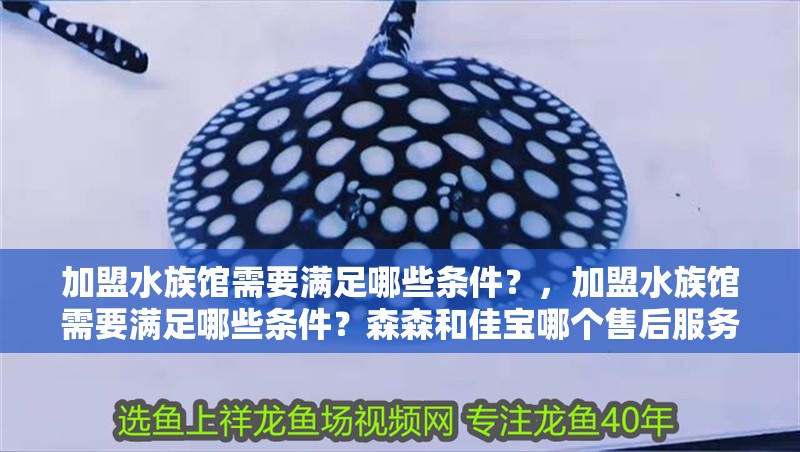 加盟水族館需要滿足哪些條件？，加盟水族館需要滿足哪些條件？森森和佳寶哪個(gè)售后服務(wù)響應(yīng)更快？