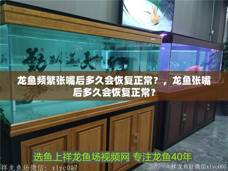 龍魚頻繁張嘴后多久會恢復正常？，龍魚張嘴后多久會恢復正常？