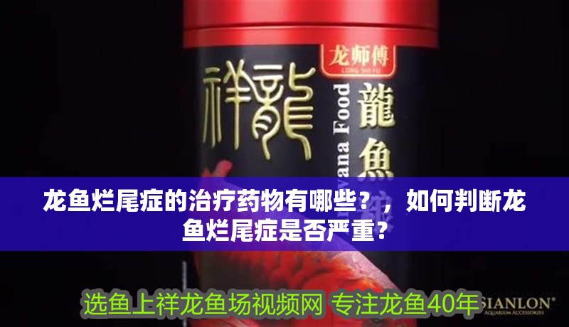 龍魚爛尾癥的治療藥物有哪些？，如何判斷龍魚爛尾癥是否嚴重？