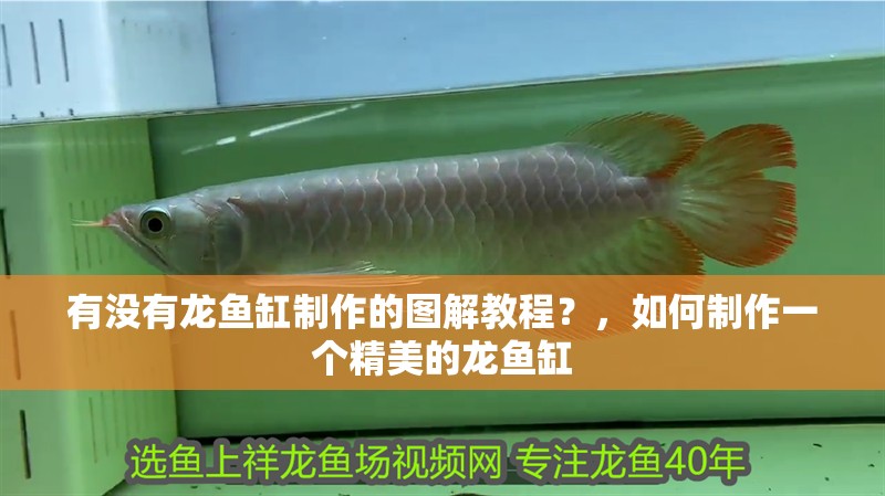 什么魚能和龍魚、虎魚混養(龍魚能和虎魚混養嗎) 有沒有龍魚缸制作的圖解教程?,如何制作一個精美的龍魚缸 龍魚百科 有沒有龍魚缸制作的圖解教程?,如何制作一個精美的龍魚缸 有沒有龍魚缸制作的圖解教程?,如何制作一個精美的龍魚缸 龍魚百科