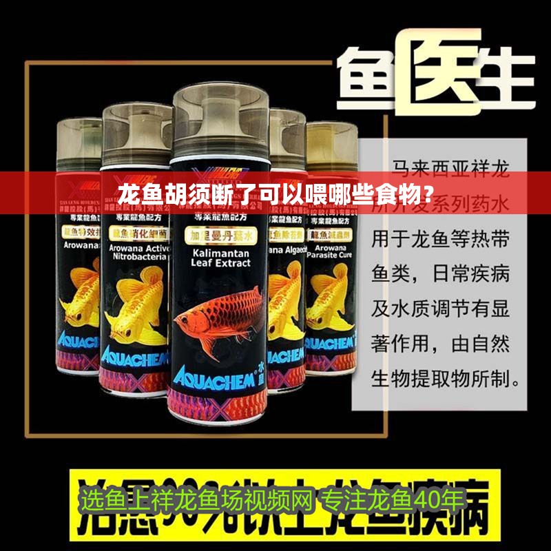 龍魚胡須斷了可以喂哪些食物？