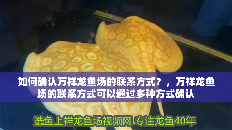 如何確認萬祥龍魚場的聯系方式？，萬祥龍魚場的聯系方式可以通過多種方式確認
