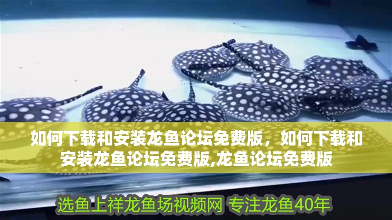 如何下載和安裝龍魚論壇免費版，如何下載和安裝龍魚論壇免費版,龍魚論壇免費版