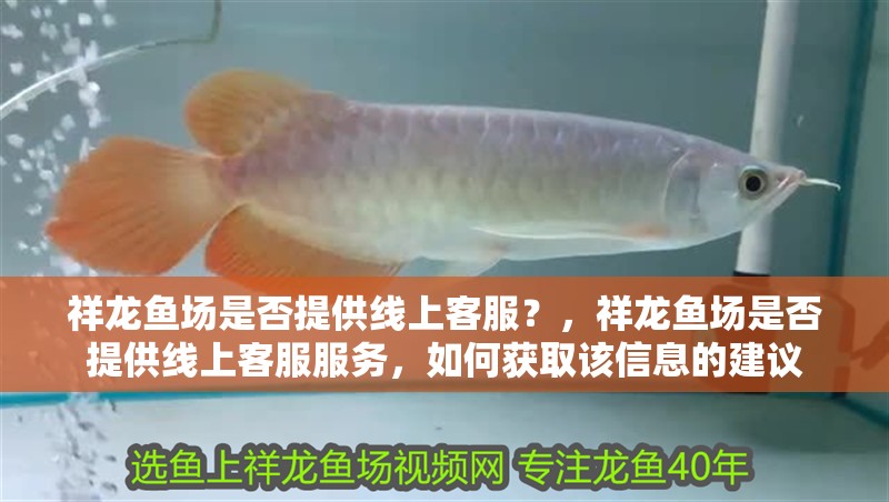 祥龍魚場是否提供線上客服？，祥龍魚場是否提供線上客服服務，如何獲取該信息的建議