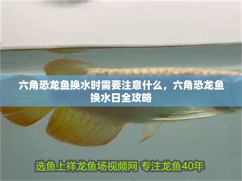 金龍魚(yú)油罐車(chē)清洗流程是怎樣的，金龍魚(yú)油罐車(chē)清洗流程