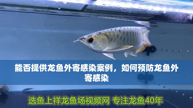 能否提供龍魚外寄感染案例，如何預防龍魚外寄感染