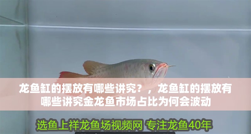 龍魚缸的擺放有哪些講究？，龍魚缸的擺放有哪些講究金龍魚市場占比為何會波動