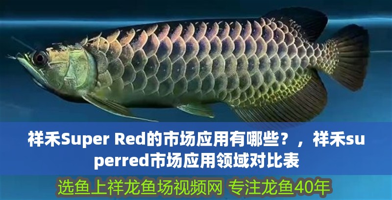 祥禾Super Red的市場應用有哪些？，祥禾superred市場應用領域對比表